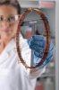 Хроматографическая колонка Thermo Scientific позволила в 4-5 раз ускорить анализ жирнокислотного состава в подсолнечном масле